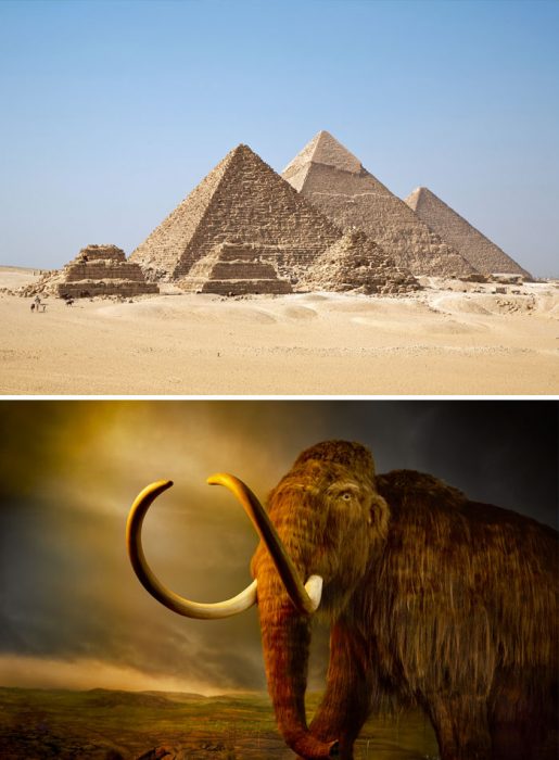 mamuts y pirámides 