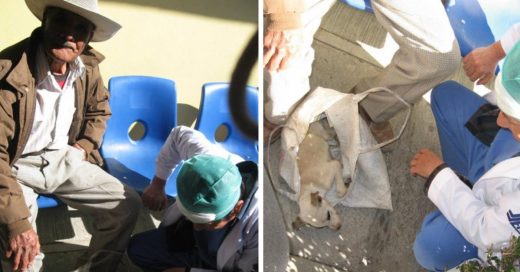 Cover Medicos atienden a un cachorro que llevaba un anciano