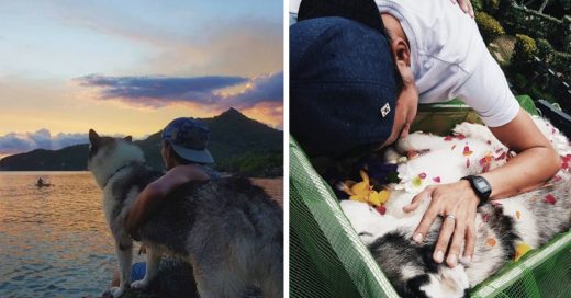 Cover Desgarrador momento en que un joven se despide de su amado perro