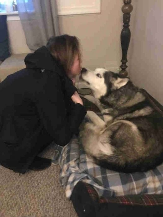 señora y perro husky 