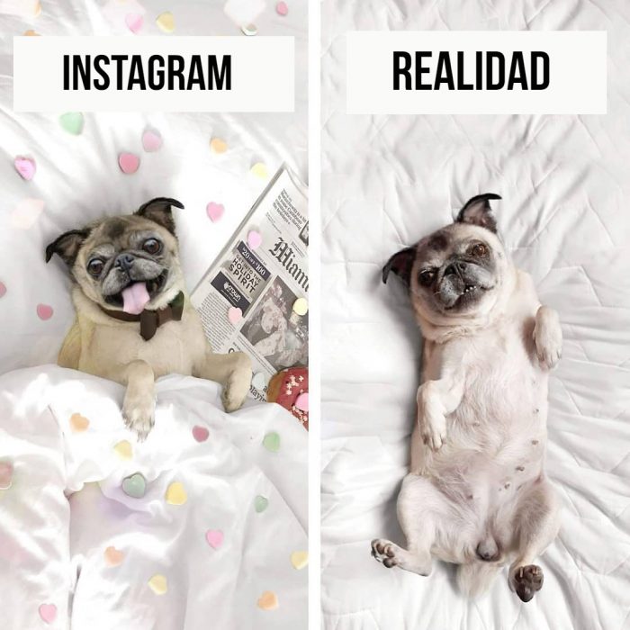 instagram vs. realidad