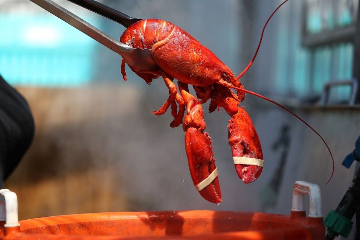 Charlotte's Legendary Lobster Pound