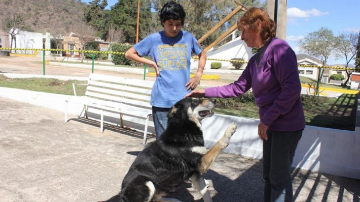 murió cuidando la tumba de su dueño