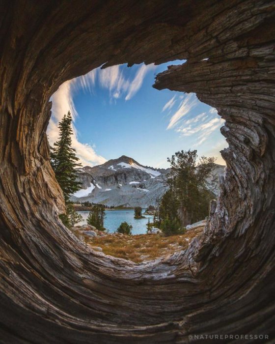  Lago visto a través de un tronco viejo