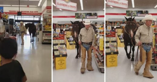 Cover Señor llega a tienda de autoservicios en caballo y lo dejan pasar