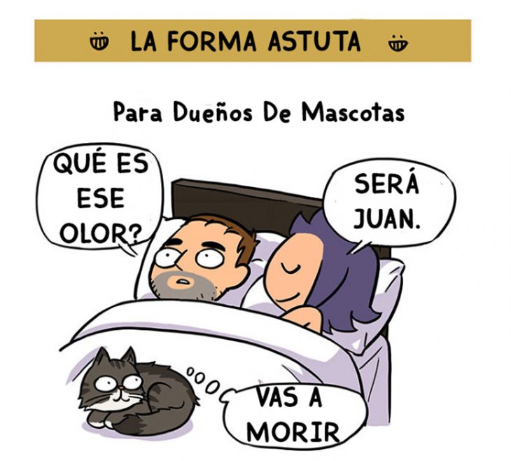 echarte pedo y echarle la culpa al gato