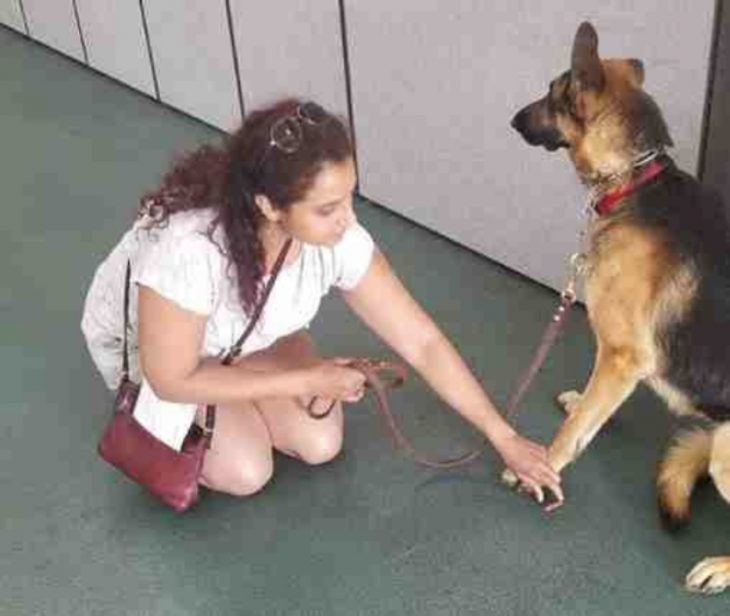 perrito con mujer 