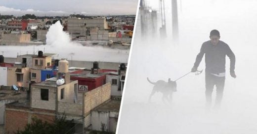 Cover Regresa a rescatar a su perro en medio de una nube de gas