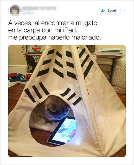 tuits demuestran que los animales son lo más cool