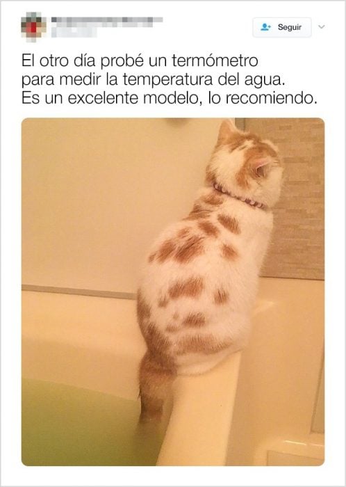 tuits demuestran que los animales son lo más cool