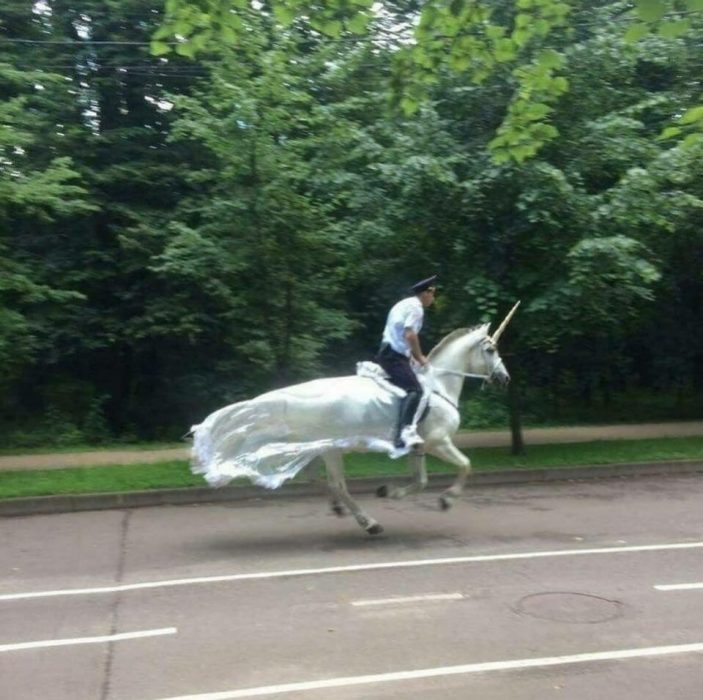 policía en unicornio 