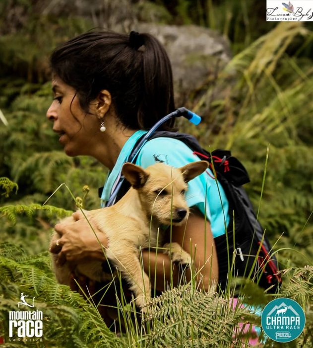 perrito en competencia lo salva