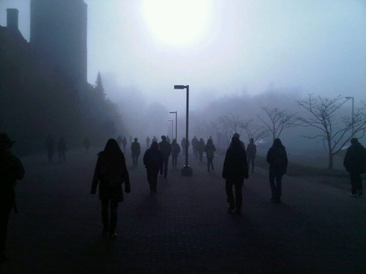 camino a la universidad tenebroso 