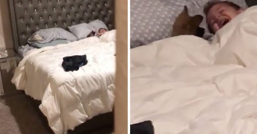 Cover Un padre grabó el momento exacto en donde su pequeño hijo y su cachorro pasaban un tiempo agradable juntos