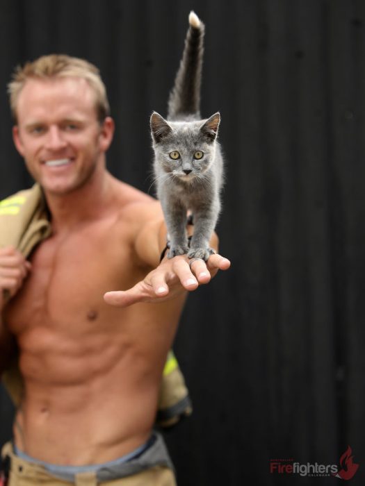 bombero sin camisa con gatito en la mano 