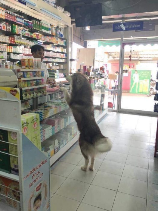 El supermercado es un universo bizzarro