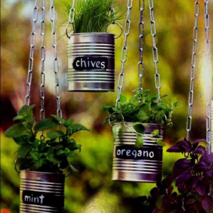 plantas colgadas en latas 