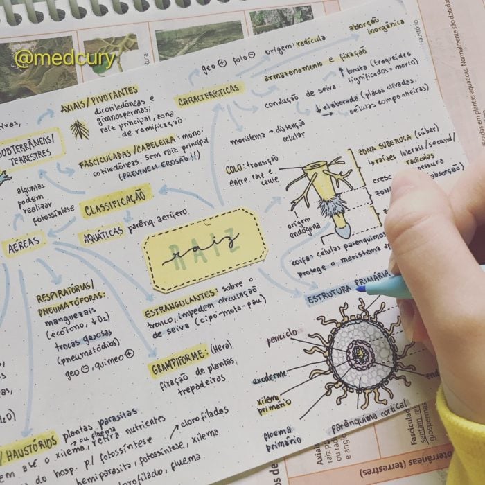 notas de plantas parásitas 