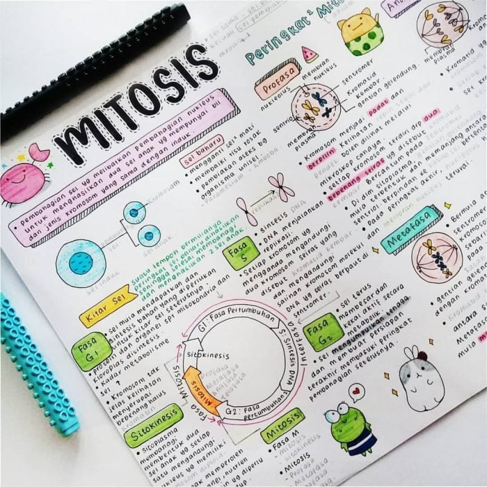 notas sobre mitosis 