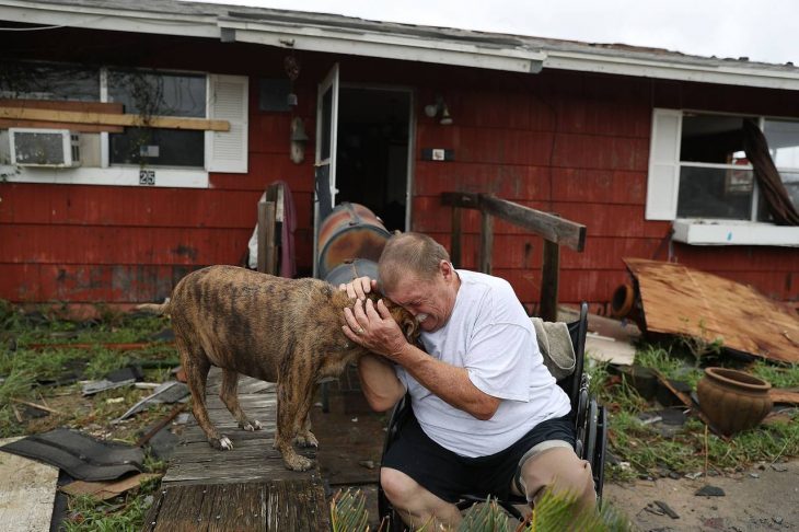 perros antes que personas recreoviral.com 11