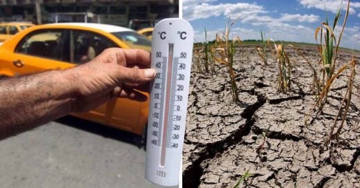 Cover consecuencias apocalípticas del cambio climático