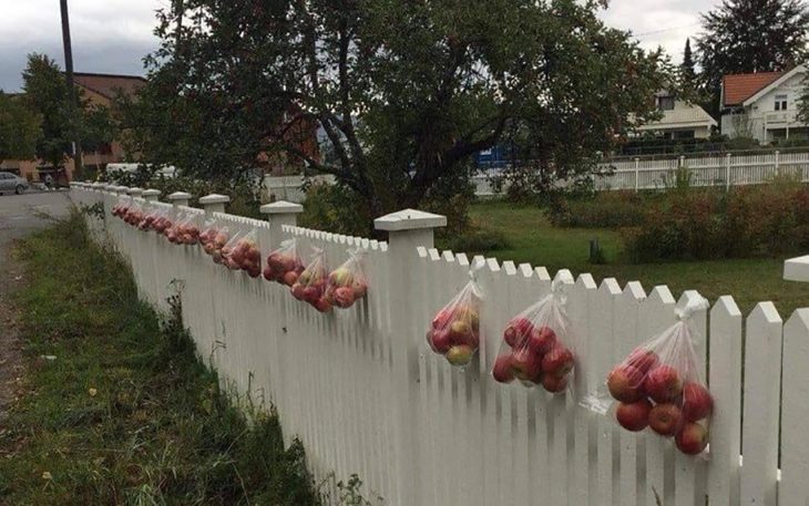 manzanas gratis para el vecindario 