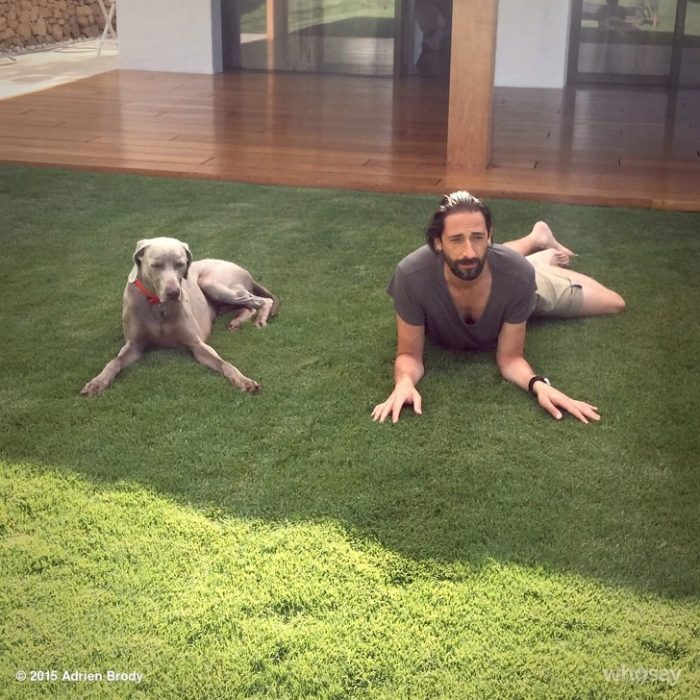 Adrien Brody y su perro tienen muchas similitudes
