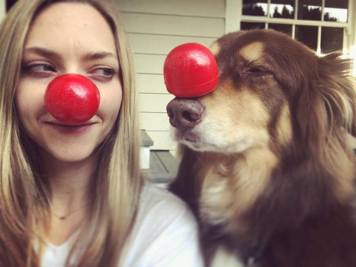 Amanda Seyfried con su perrito