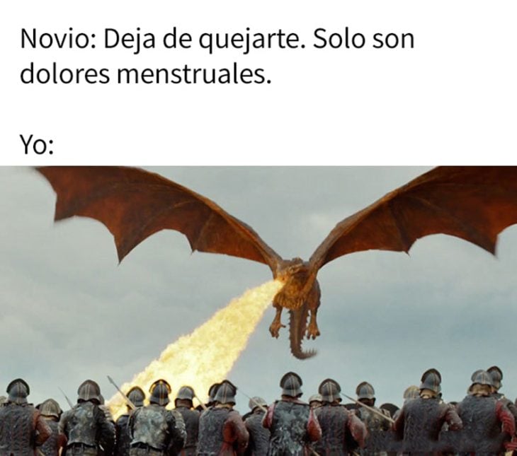 meme dragón 