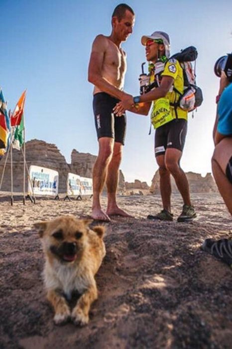 perrita en la playa 