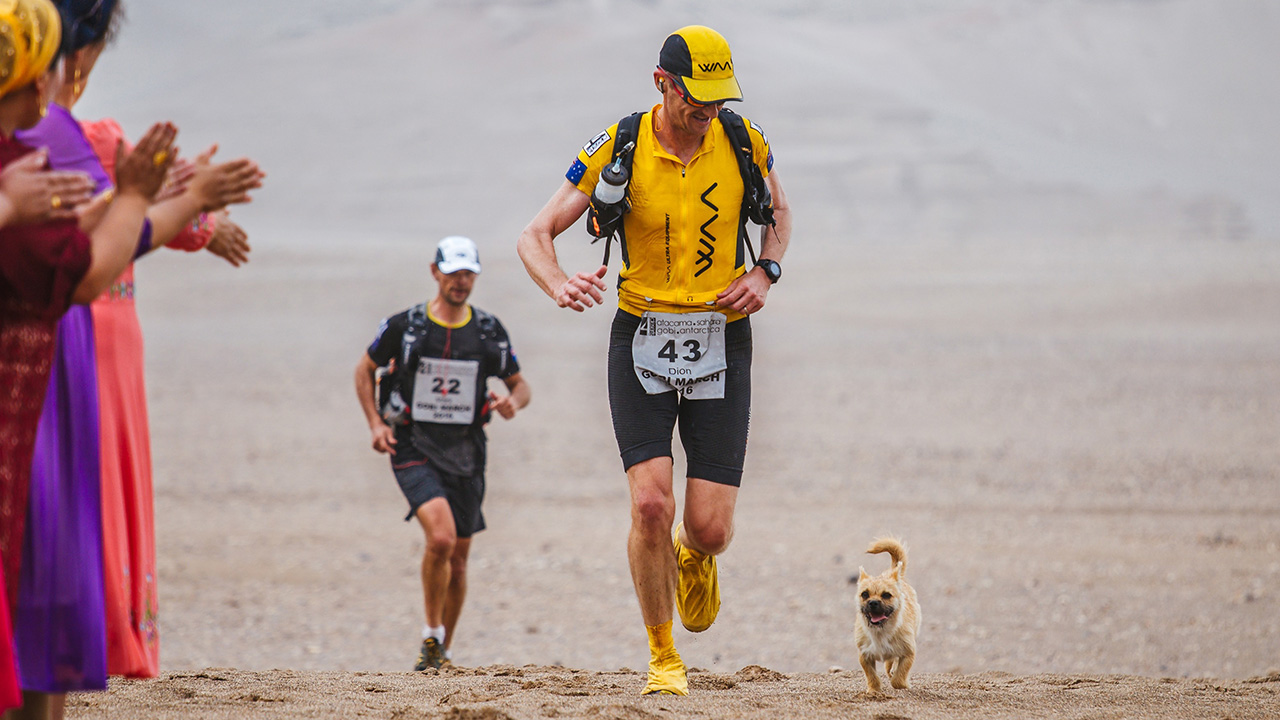 Спортсмен за 10 с пробежал. Собака Гоби марафон. Марафон в пустыне.