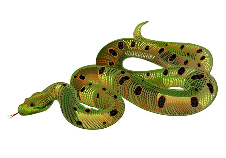 serpiente 