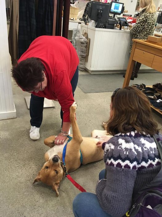 acariciando a perrito 