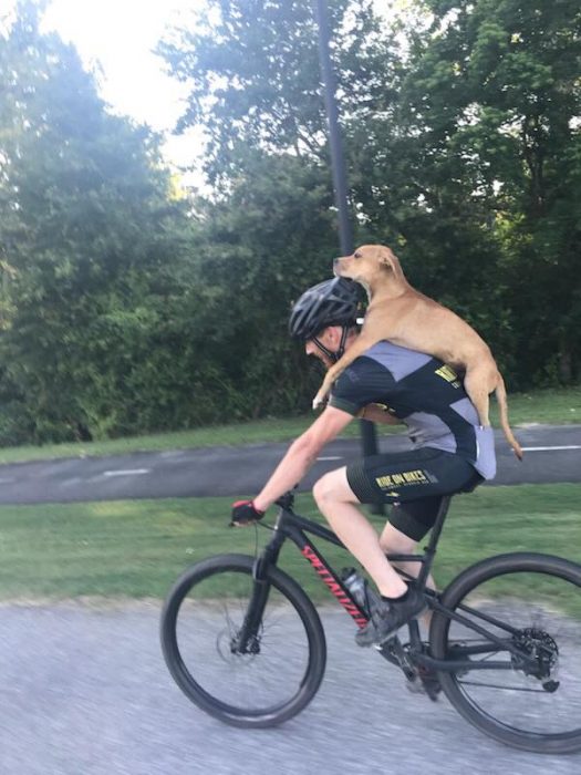 ciclista y perrito 