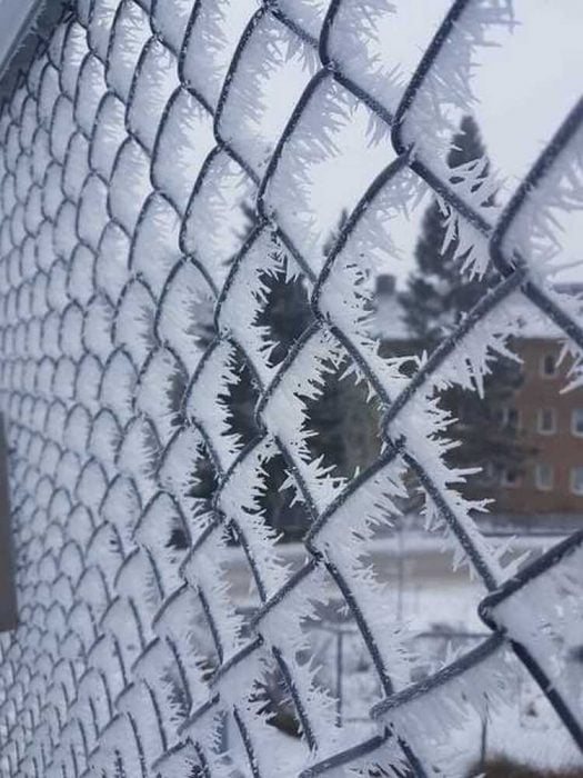 increíbles fotos del frío
