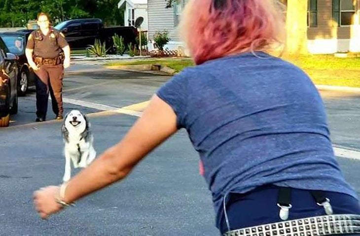 encuentro entre perro y dueña 