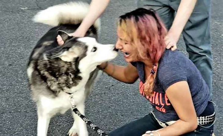 reencuentro entre mujer y un perrito 