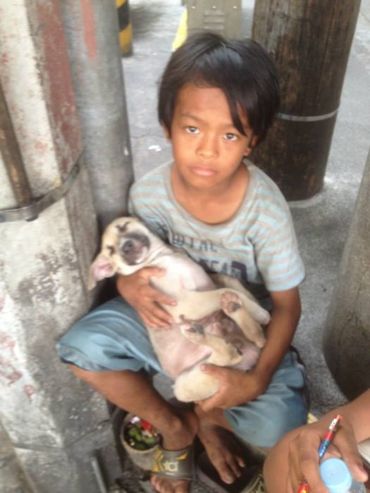 niño y perrito callejeros 