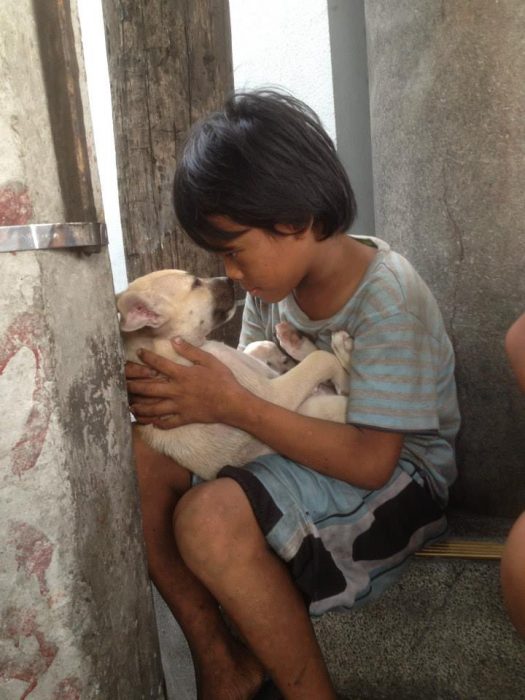 niño poniéndole atención a un perrito 