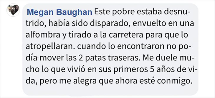 comentario 2