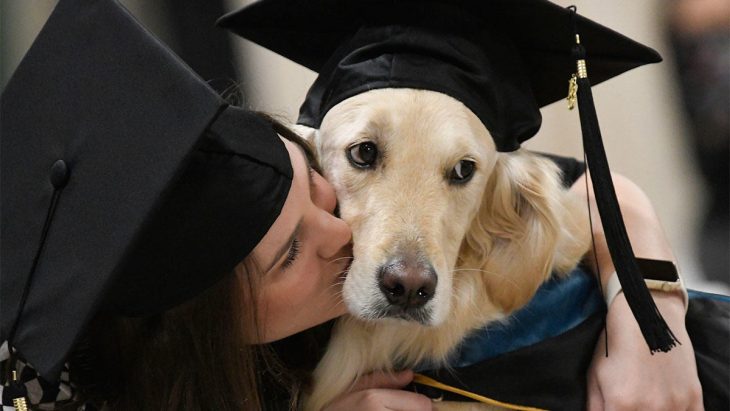 beso a perrito con birrete 