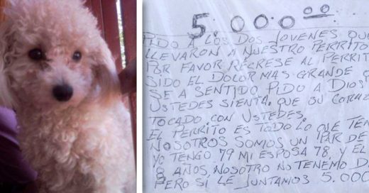 Cover ancianos piden que les regresen a su perrito