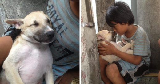 Cover Niño sin hogar adopta a perrito abandonado y se vuelven inseparables