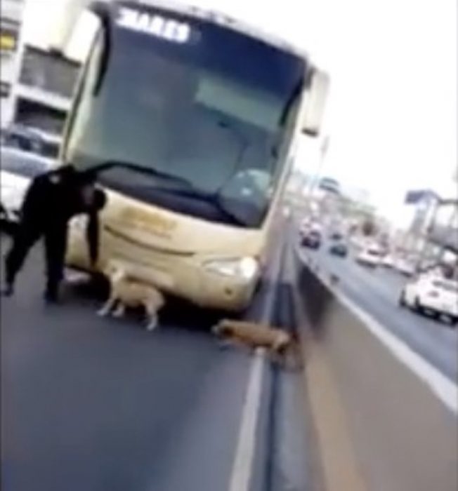 policía camión 