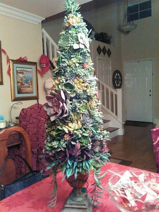 árbol de navidad de suculentas