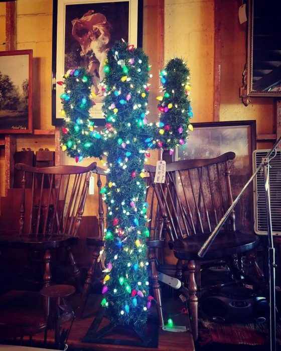 cactus navideño 