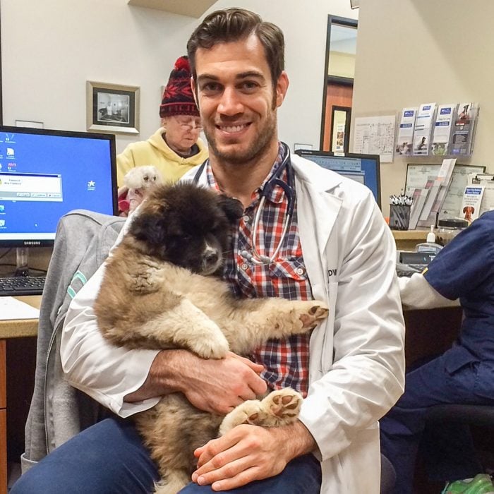 veterinario y perro 