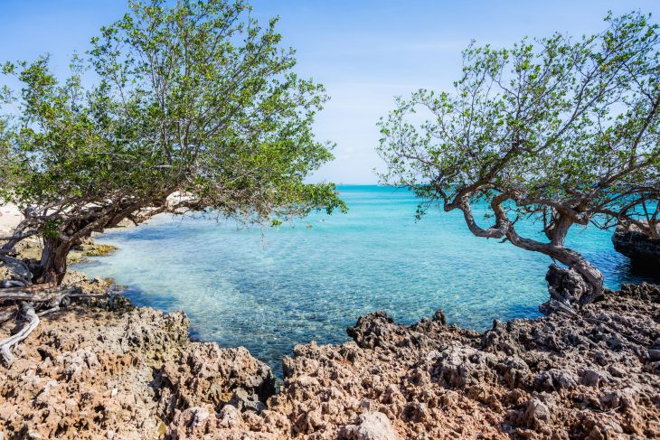 Aruba, Países Bajos