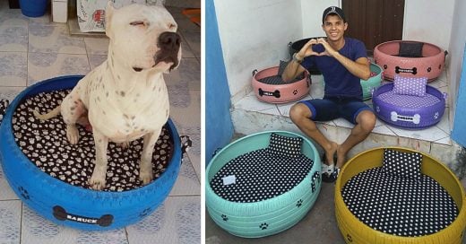 Cover Joven artesano transforma neumáticos viejos en camas para perros y gatos