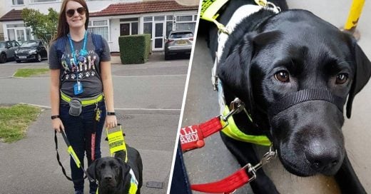 Cover Mujer quiere bajar a una chica ciega de un autobús porque su perro guía es negro